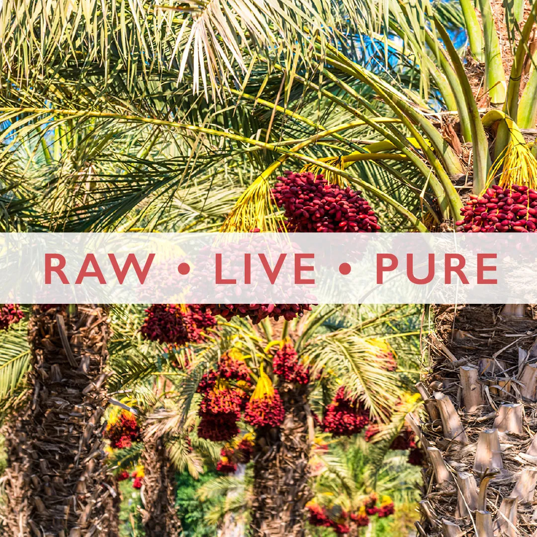 Coachella Honey Date Scrub