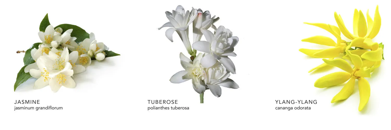 Jasmine Tuberose Body Scrub